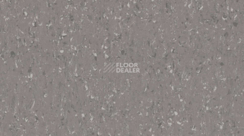 Линолеум Gerflor Mipolam Cosmo 2638 PURE GREY фото 1 | FLOORDEALER